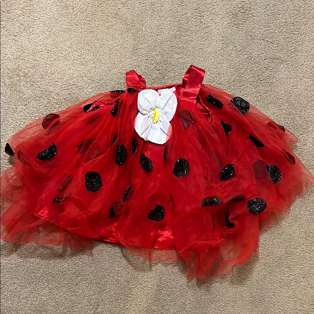 Pottery Barn Kids Red Ladybug Costume